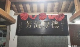 丰顺现场爆料视频,一睹事件真实瞬间