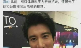 王力宏狗仔爆料视频,揭秘明星私生活背后的真相